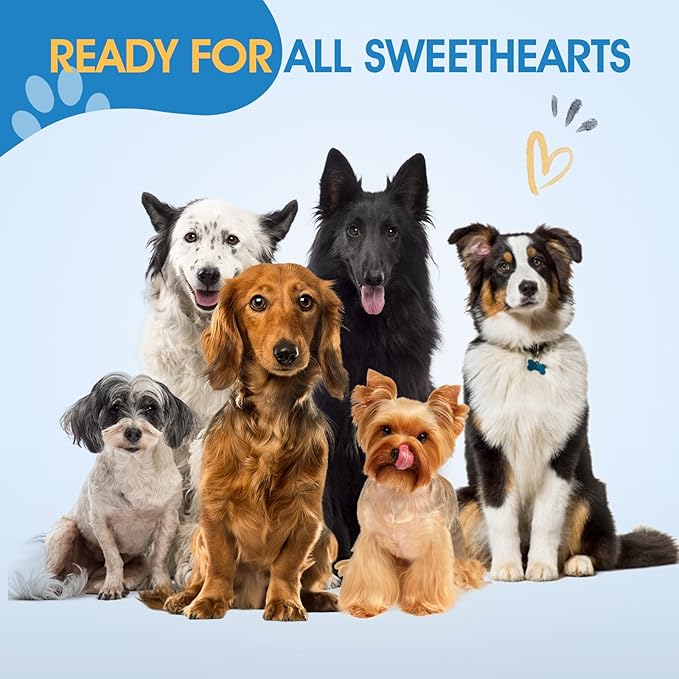 JASON 7.5" Dog Grooming Scissors - Professional Chunker Thinning Shear with with 24 Fishbone Teeth Japanese 440C Stainless Steel Hair Scissor with Diamond Screw for Dogs, Cats and Other Pets Christmas