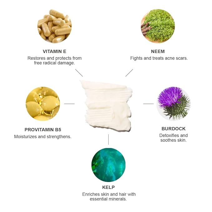 100% PURE Burdock and Neem Healthy Scalp Purifying Conditioner Moisturizing Detox for Dry, Damaged Hair with Kelp Replenishing Itchy, Flaky Scalp Hydration for Women & Men - 8 Fl Oz