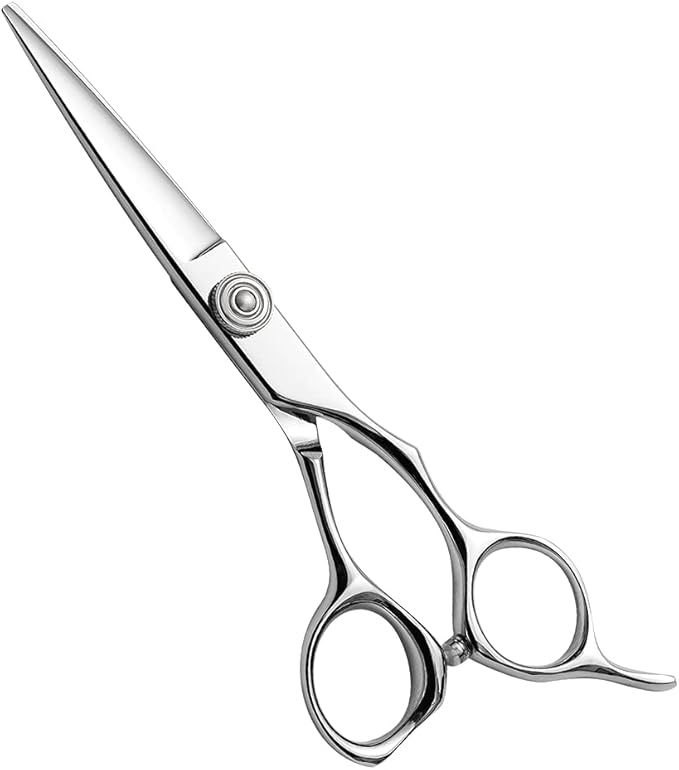 AOLANDUO Professional Shears for Hair Cutting, VG10 Steel Scissors to Cut Hair Professional, Precision Barber & Hair Stylist Shears, Ergonomic, 1 Count, 5.5 Inch