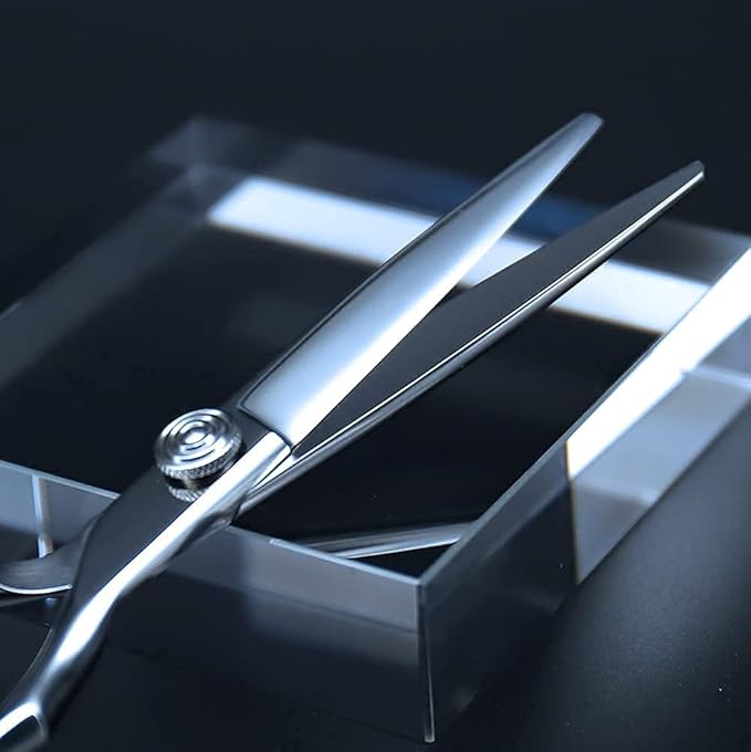 AOLANDUO Professional Shears for Hair Cutting, VG10 Steel Scissors to Cut Hair Professional, Precision Barber & Hair Stylist Shears, Ergonomic, 1 Count, 5.5 Inch