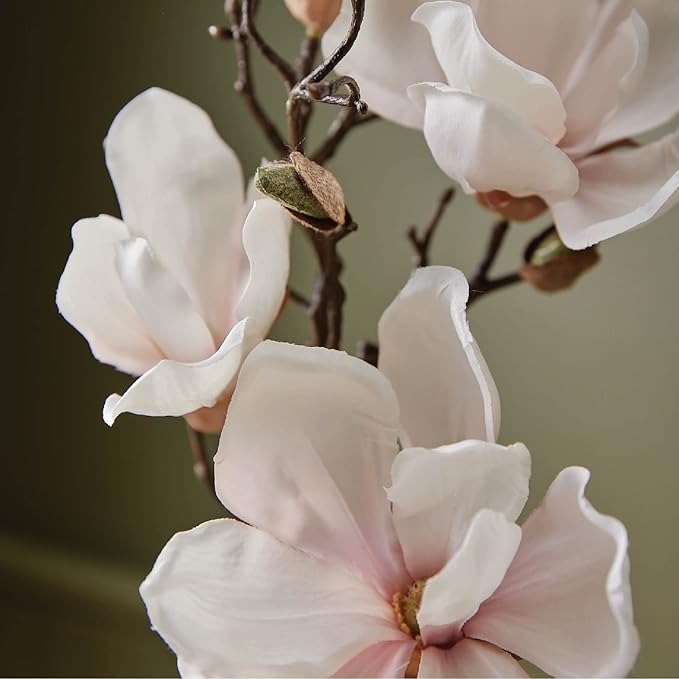 Thymes Reed Diffuser Oil - Magnolia Willow - 7.75 Fl Oz