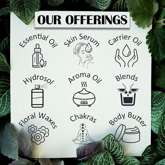 Greenwood Essential Pure Clary Sage Essential Oil (Salvia sclarea) Steam Distilled (Pack of Three) 100ml X 3 (10.1oz)