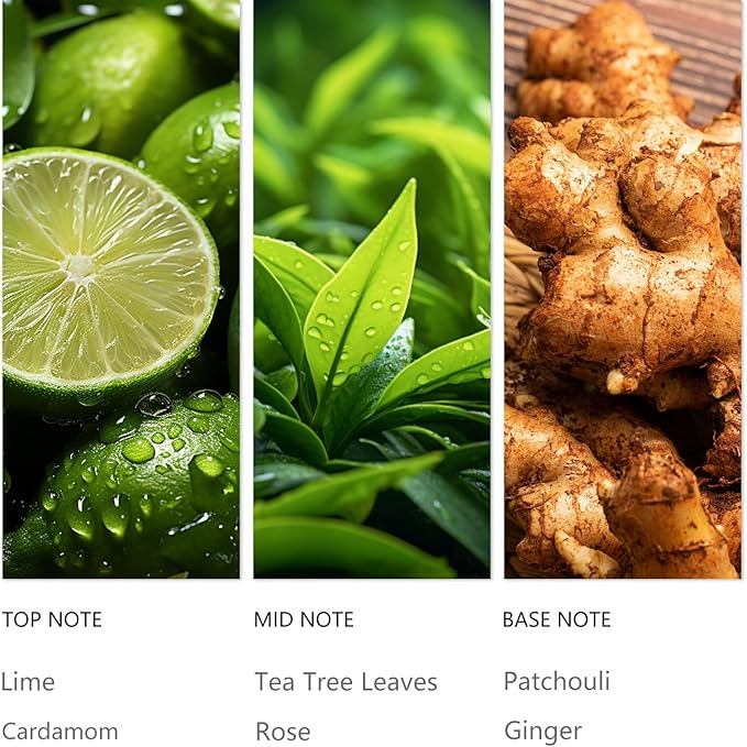 Hotel Diffuser Oil Hope - 120ML Luxury Essential Scent Oils for Cold Air & Waterless Diffusers, Long-Lasting Fragrance Oil for Home, Spa, Office - Premium Aroma Oil Refill, Hotel-Style Air Freshener