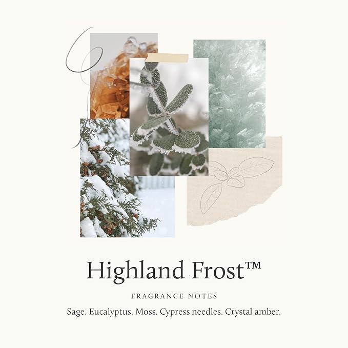 Thymes Reed Diffuser Oil Refill - Room Fragrance Oil - Flameless Home Fragrance - Highland Frost - 7.75 Oz