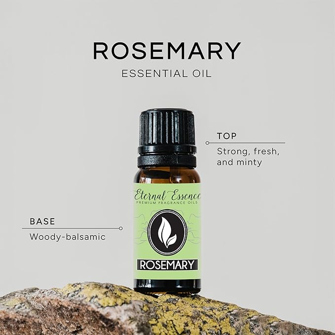 Rosemary Premium Grade Fragrance Oil - 10ml - Scented Oil