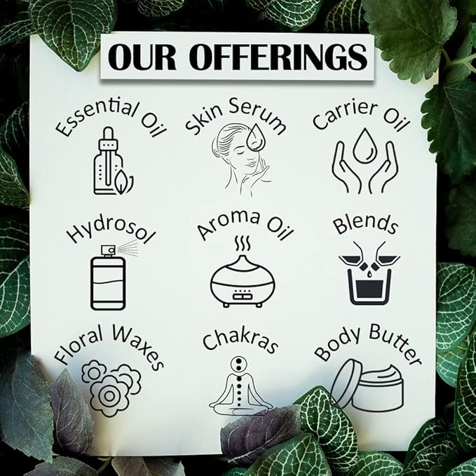 Greenwood Essential Pure Cornmint Essential Oil (Mentha arvensis) with Glass Dropper Steam Distilled 120ml (4 oz)