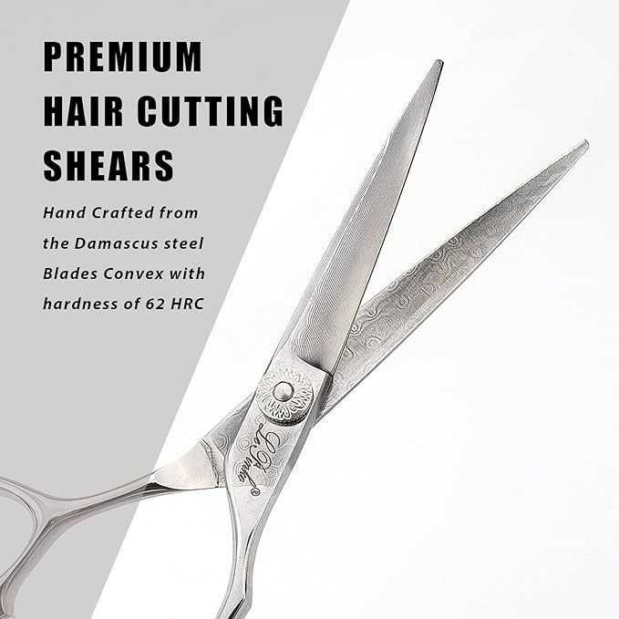 LePinko Premium Damascus Steel Hair Cutting Scissors, 6.0 Inch Master Level Hair Texturizing Shears For Hairstylist, Hairdresser, Studio, Salon, Barber