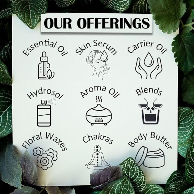 Greenwood Essential Eucalyptus Essential Oil (Eucalyptus globulus) Pure | Non-Sticky | Non-Greasy | Lightweight | Men & Women | All Skin Types | Steam Distilled 50ml (1.69 oz)