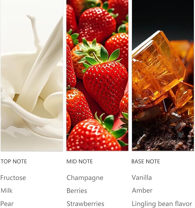 Christmas Champagne Essential Oil - 20ML Sampler Scented Oils for Waterless Diffuser, Aromatherapy Diffuser Oil with Festive Notes of Pear, Berry, Vanilla & Amber for Home