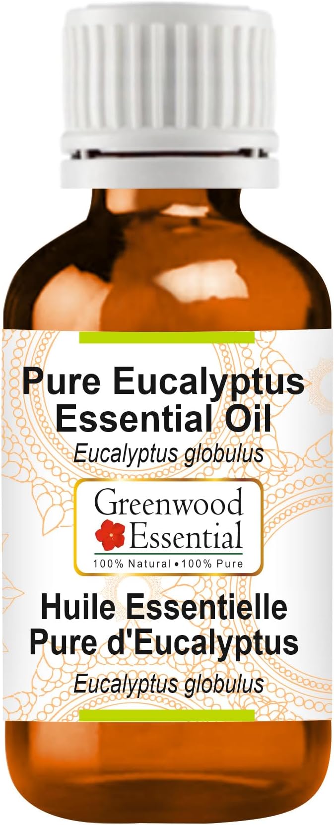 Greenwood Essential Eucalyptus Essential Oil (Eucalyptus globulus) Pure | Non-Sticky | Non-Greasy | Lightweight | Men & Women | All Skin Types | Steam Distilled 50ml (1.69 oz)