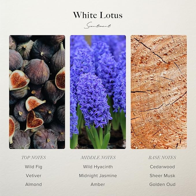 Scentiment Diffuser Oil - White Lotus | Aromatherapy Home Fragrance | Inspired by 5-Star Hotels | Luxurious Scent with Notes of Wild Fig, Vetiver, Almond, Sandalwood (120 mL)