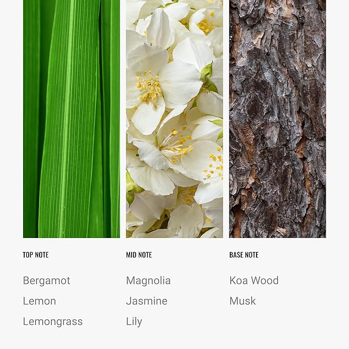 Hotel Collection Diffuser Oil - 24K Magic - Aromatherapy Essential Fragrance Oil - Citrus, Lemongrass, and Jasmine - 120mL 4.1 Fl oz