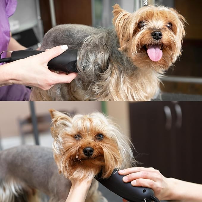 Detachable A Series Wide 10 Blade Dog Grooming Cut Length 3/32" - 2.4mm Japanese Carbonized Steel Wide Grooming Blades Compatible A5 Series Clippers for Dogs(10W)