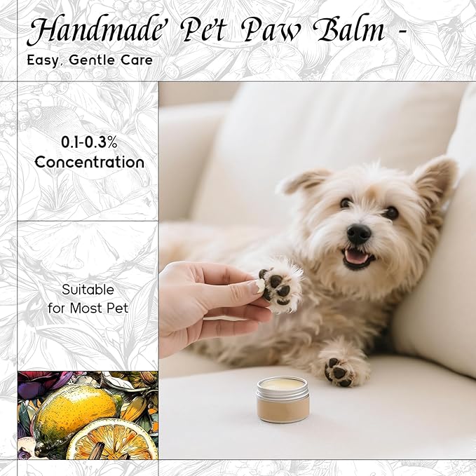 HIQILI Citrus Green Nexus Fragrance Oil for Scent Diffuser, Inspired by C&K One, Perfume & Soap Making Supplies, Great for Larger Room, New Car - 1 Fl Oz