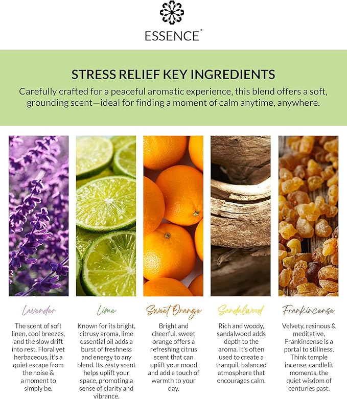 Essence Pearl Travel Case - Wearable Aromatherapy Kit with Nasal Diffuser Rings, Soaking Bay, and 5mL Essential Oil – Portable Wellness Gift Set for On‑The‑Go Self Care